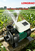 Pompe centrifuge solaire de surface DC JCPM haute efficacité 1,5 CV 26m³/h pour l'alimentation en eau domestique avec relance automatique et protection contre les surcharges