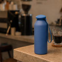 Bouteille isotherme sous vide en acier inoxydable personnalisée de 15 oz, à double paroi, avec poignée de transport pratique