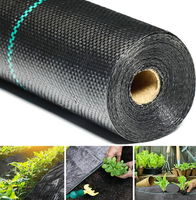 Tapis contrôle des mauvaises herbes, vente en gros, serre d'usine, tissu maille au sol, PP