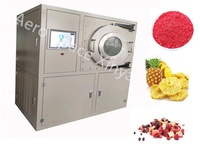 Klein Formaat 10Kg Groenten En Fruit Vriesdroger Voor Test En Nieuw Product Thuisgebruik Forfood