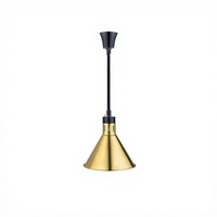 Lampe chauffante électrique commerciale pour aliments, plateau réglable et rétractable, or et noir, pour usage en cuisine professionnelle