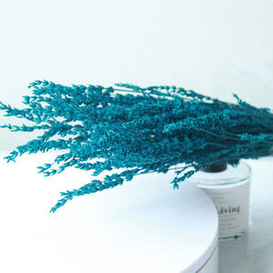 SZ04130, suministro de China, flores secas, <span class=keywords><strong>lavanda</strong></span> natural <span class=keywords><strong>preservada</strong></span>, hecha a mano, <span class=keywords><strong>lavanda</strong></span> <span class=keywords><strong>rosa</strong></span> púrpura para decoración del hogar y hotel - Product Image 3