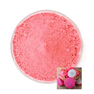 Hot Sale Dragon Fruit Powder Fresh Fruit Freeze Dried Dragon Fruit Powder Freeze Dragon Powder