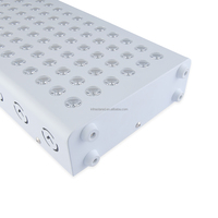 Panneau de luminothérapie infrarouge personnalisé Infrastar 1500w, panneau de luminothérapie proche infrarouge avec support