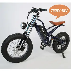 Youken vendite calde cyclette generare energia elettrica veloce bici da strada mountain bici elettrica bici elettrica potente commercio