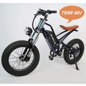 Youken Bán hàng nóng tập thể dục xe đạp tạo ra điện nhanh điện đường xe đạp leo núi Ebike Xe đạp điện mạnh mẽ thương mại