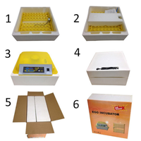 Incubateur à œufs de poulet entièrement automatique HHD en vente aux Émirats arabes unis, 48 œufs, 12v 220v