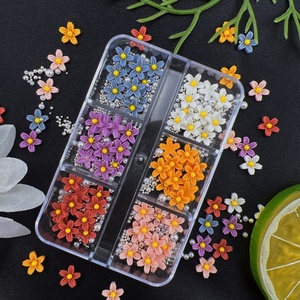 Caja de 6 rejillas, flor francesa de cinco pétalos, decoración de uñas, plástico 3D, flor pequeña blanca, mate, fácil de aplicar - Product Image 2