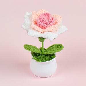 Maceta tejida de punto hecha a mano con pétalos puntiagudos de ganchillo y rosas para novia, graduación, Día de San Valentín, regreso a la escuela - Product Image 4