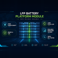 Module de batterie au lithium LiFePO4 CALB 100Ah-1P16S 51.2V, durée de vie de 2800 cycles, température de fonctionnement de -30 à 60°C, portable pour alimentation de secours