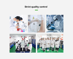 OEM proteine del siero di latte isolato proteine in polvere per la crescita muscolare magra gusto e opzioni di confezionamento personalizzate - Product Image 6