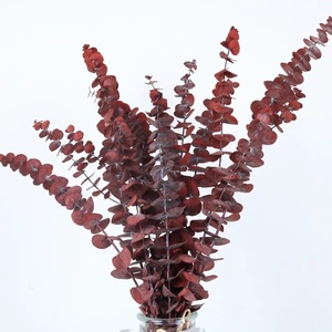 Feuilles d'<span class=keywords><strong>eucalyptus</strong></span> naturelles préservées, feuilles séchées, toucher réel, pour la décoration de bouquets de mariage et de fête DIY - Product Image 6