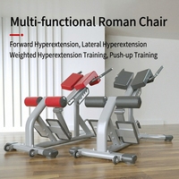 Équipement professionnel de qualité commerciale : Chaise romaine, banc d'hyperextension, machine d'extension pour l'entraînement abdominal et lombaire
