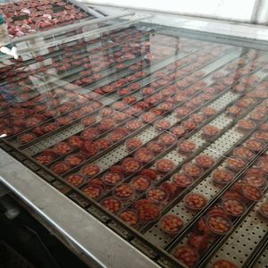 Kovalı Elevatör Konveyörü 2mm Delik Çapı Dikey Endüstriyel Otomatik Kaldırma Ağır Hizmet Tipi Stabil Verimli - Product Image 2