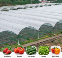 Kit complet de serre à succès avec tour de culture hydroponique pour légumes d'intérieur