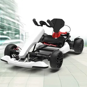 Voiture electrique adulte/קארטינג רכב karting מירוץ/ללכת קרטינג karts/מיני קרטינג