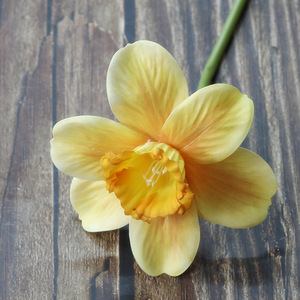 Haute Qualité PVC Jonquille Fleurs Real Touch Explosif Narcisse pour La Maison De Mariage Hôtel Décoration pour Graduation Fête Des Pères - Product Image 6