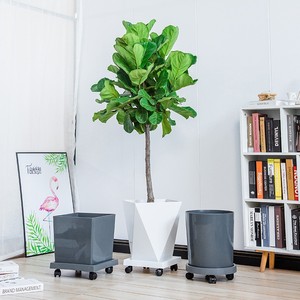 <span class=keywords><strong>Maceta</strong></span> Tradicional Simple con Orificio de Drenaje y Autorriego, de Gran Diámetro, para Plantas Verdes - Product Image 1