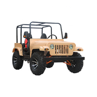 Buggy tout-terrain à essence 200cc pas cher / Buggy de plage Cross Go Karts pour adultes