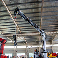 Grue marine à bras unique de 2 tonnes avec treuil hydraulique pour processus d'électrophorèse, capacité de levage 1 à 2 tonnes, modèle SQ2ZA2TJ