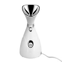 Vaporisateur facial électrique professionnel de haute qualité, nano-ionique, portable, pour usage domestique, lifting du visage