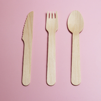 Mini ensemble de couverts en bois jetables-pour les fêtes comprend une fourchette et un couteau à crème glacée-usage unique