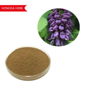 Factory Supply High Quality Mucuna Pruriens Extract Powder Mucuna Pruriens Powder Mucuna Pruriens Extract