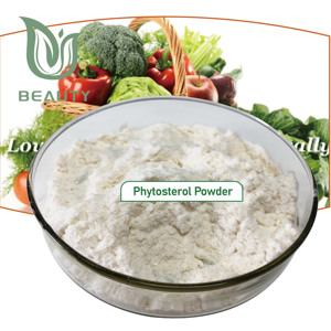 ISO GMP Chứng Nhận Độ Tinh Khiết Cao 90% Phytosterol Bột Tự Nhiên Thuần Chay Thực Phẩm Bổ Sung Cho <span class=keywords><strong>Cholesterol</strong></span> Giảm Sức Khỏe Tim Chai - Product Image 1