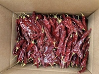 Certifié ISO nouvelle culture chili guajillo table paprika gousses avec tige