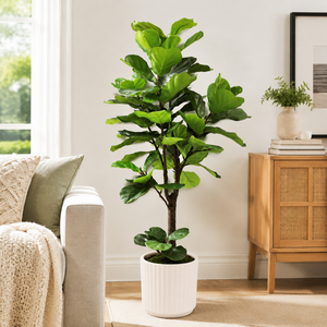 Artificial Fiddle <b>Leaf</b> Fig Tree in Pot | Realistic Faux Indoor for Interior Designers, Hotels, Villas & Commercial <b>Decor</b> - Product Image 1