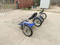 Charrette à deux roues pour poney, simple, pour courses de chevaux de traction, transport spécial
