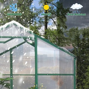 Factory Direct Sales <strong>4x6</strong> Ft Metal Walk-In <strong>Greenhouse</strong> Waterproof Easily Assembled Modern Traditional Style Backyard Hydroponic - Product Image 3