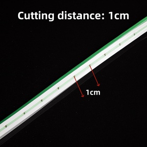 Bande lumineuse <span class=keywords><strong>LED</strong></span> néon flexible <span class=keywords><strong>12V</strong></span> <span class=keywords><strong>multicolore</strong></span> étanche pour éclairage extérieur et signalétique - Product Image 2