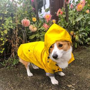 Fashion Waterproof Solid Polyester Cute Modern Outdoor <b>Dog</b> <b>Hoodie</b> British Retro Thicken 4 Legs <b>Dog</b> Jackets Winter Pet Clothes - Product Image 6