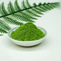 Polvo de Hoja de Moringa de Grado Alimenticio, Calidad Premium, Natural, Hecho con Materia Prima 100% Natural, en Oferta
