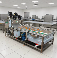 Industriële multifunctionele belletjeswasmachine voor de verwerking van groenten en maïs, voedselveilige roestvrij staal