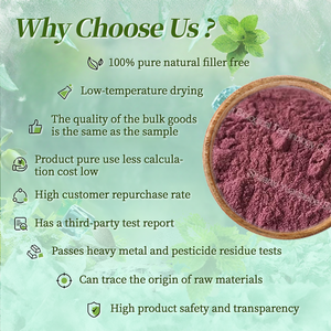 Пищевой порошок черники, высокое качество, 100% натуральный порошковый экстракт черники - Product Image 2