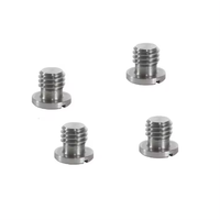 Vis sans fil personnalisées pour caméra, plaque supérieure en acier inoxydable, surface blanchie, marque FAST, fixations GB878, longueur 5-50mm, diamètre 2-10mm
