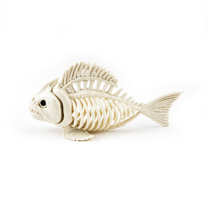 <span class=keywords><strong>Esqueleto</strong></span> de pez de Halloween, <span class=keywords><strong>huesos</strong></span> de plástico de animales <span class=keywords><strong>con</strong></span> articulaciones deformables para decoraciones de Halloween, accesorios de fiesta - Product Image 1