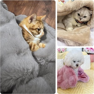 Couverture pour animaux de compagnie double face grise 21x18 pouces et 39x30 pouces en fausse fourrure douce et moelleuse pour chats et chiens, utilisation en intérieur - Product Image 5