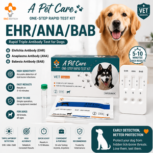 Promozione Settembre per la Cura degli Animali: Test Rapido CDV/CIV/CAV per Malattie da Cane (Distemper, <span class=keywords><strong>Influenza</strong></span> e Adenovirus) - Product Image 4