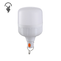 Ampoule LED rechargeable 20W pour stand de marché nocturne portable