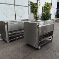 MA Fabrikant Fruit- en groentewas- en schilmachines Verwerkingsinstallaties Commercieel gebruik Eenvoudige bediening 220V