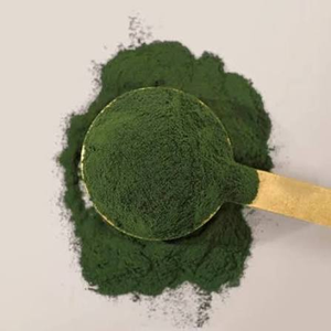 Poudre d'algues vertes biologiques Chlorella Vulgaris de qualité alimentaire, ingrédient superalimentaire naturel premium pour compléments alimentaires et smoothies - Product Image 6