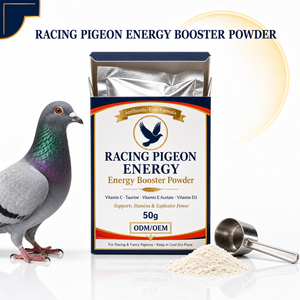 Suplemento Energético en Polvo para Palomas de Competición, para Mejorar la Resistencia Pre-competición <span class=keywords><strong>y</strong></span> la Recuperación de Electrolitos, 50g en Stock - Product Image 1
