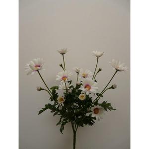 DAISY SPRAY X4 68CM LL - Product Image 1