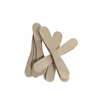 Bâtonnets de crème glacée en bois de bouleau, cuillères biodégradables, écologiques, jetables, DIY, faits maison, emballage individuel
