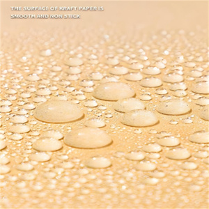 Strong Tear Resistant PE Coated Kraft <b>Paper</b> Roll for Shopping Bag Making - Product Image 6