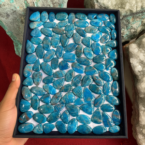 อะพาไทต์ธรรมชาติสวยงาม ล็อตอะพาไทต์ ล็อตอะพาไทต์ทรงหลังเบี้ย อะพาไทต์พลอยหลวมสำหรับทำเครื่องประดับ - Product Image 1