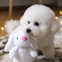 Juguete de Peluche Personalizado en Forma de Conejo Blanco con Relleno de Algodón PP Reciclado y Sonido